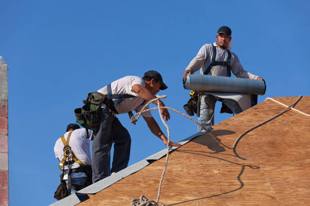 Best Local Roofing Companies  in Prairie Grove, IL