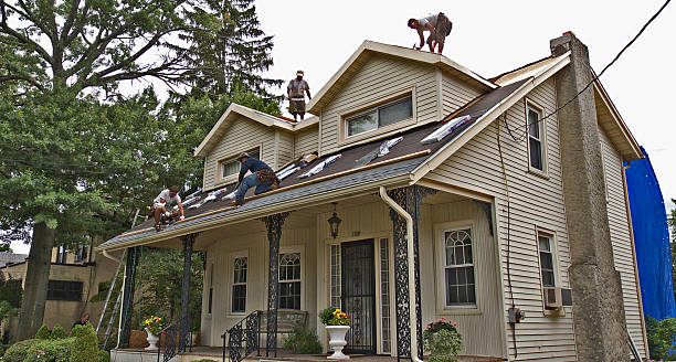 Best Roof Gutter Cleaning  in Prairie Grove, IL